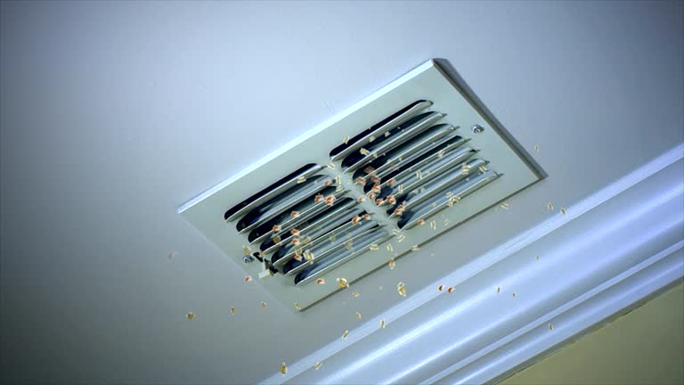 Best Air Duct Cleaning Near Me  in Bonny Doon, CA
